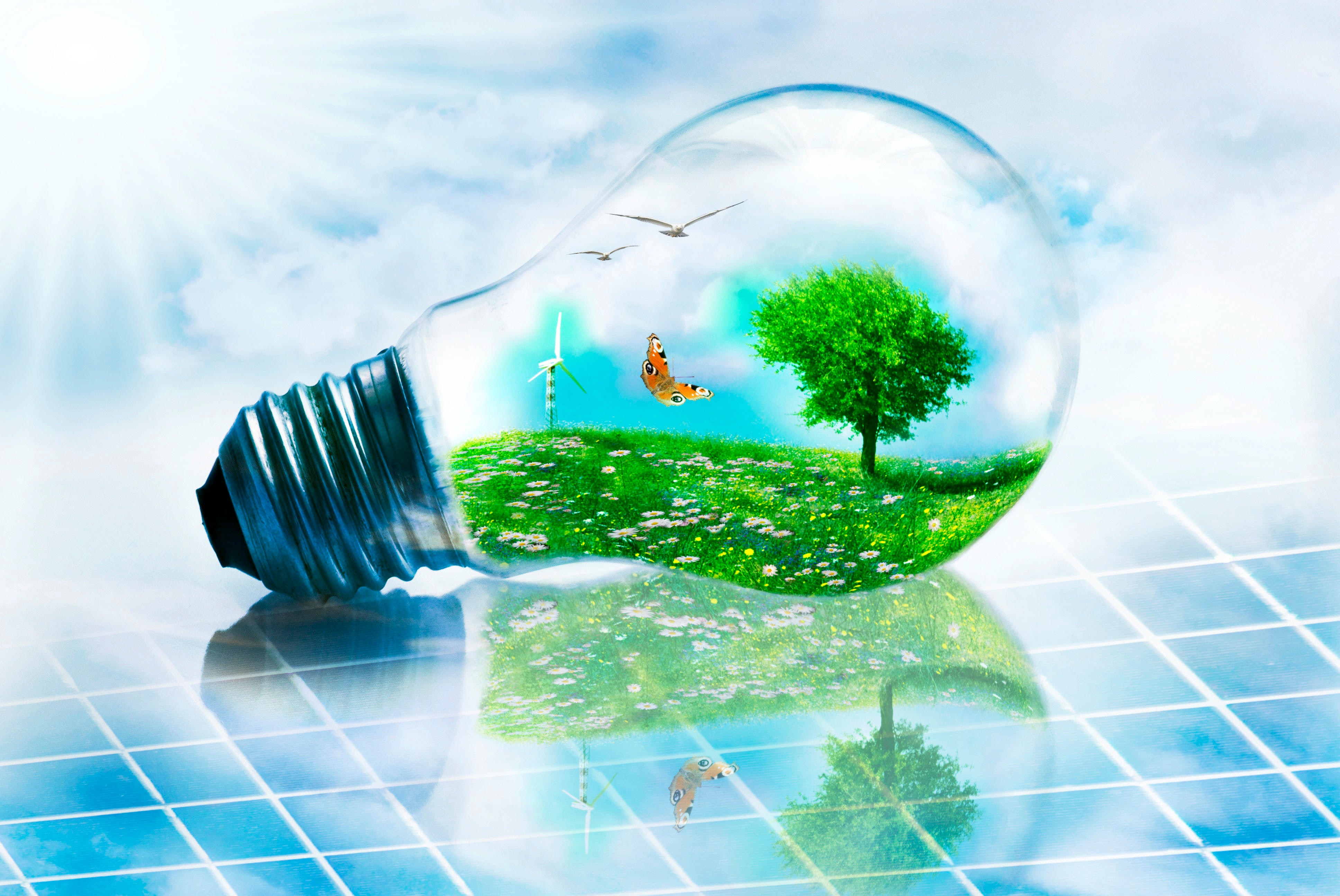 Оптимизм будущего. Экология и энергосбережение. Экология и экономия. Экология электричество. Сбережение энергоресурсов.